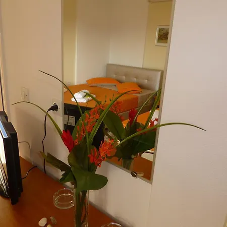 Apartment Pavloudis Psakoudia