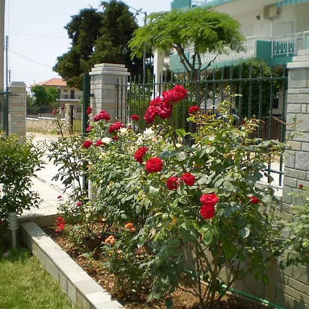 Pavloudis