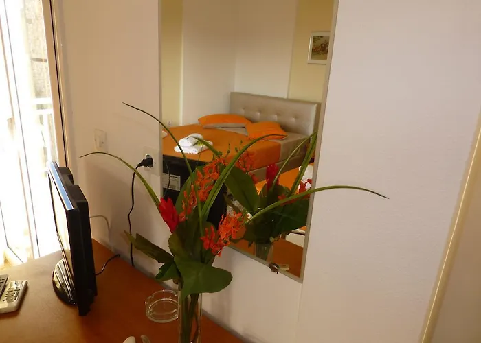 Apartament Pavloudis Psakoudia