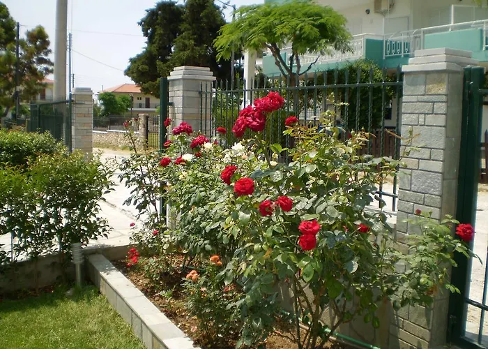 Pavloudis